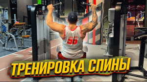 Тренировка спины