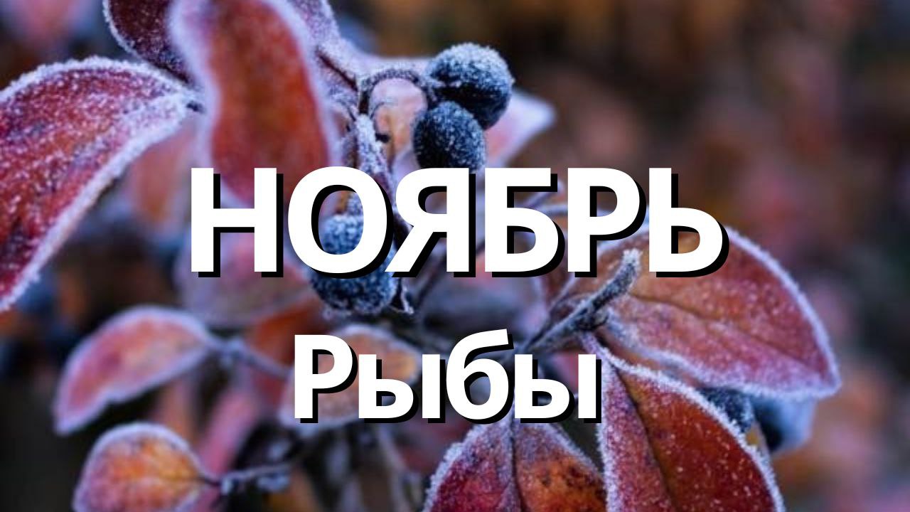 РЫБЫ НОЯБРЬ 2023 Таро прогноз]