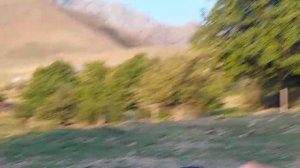 Узбекистан ургут самарканд