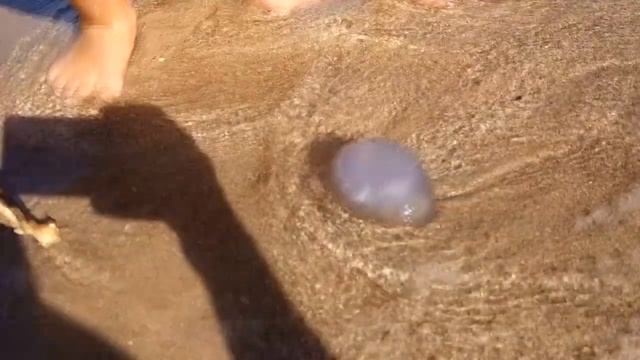 ДИКИЙ ПЛЯЖ | ЧЕРНОМОРСКИЙ р-н | КРЫМ 2017 | VLOG | Funny For Kids Children смотреть онлайн