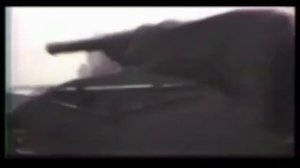 Земля моя, я сын твоих берез