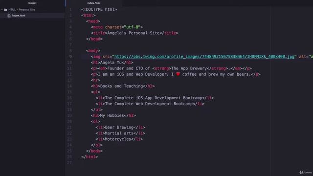 HTML Image Elements | 100 Days of Code: The Complete Python Pro Bootcamp for 2022