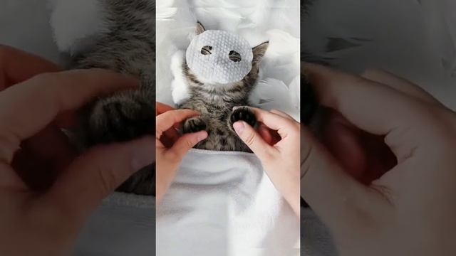 1000002189.mp4 смотреть онлайн