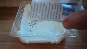 Микрозелень  Редис в бумажных салфетках