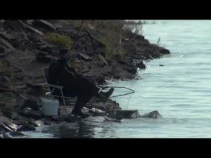 В поисках сазана. Николаич отличился.