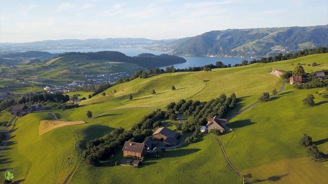 Успокаивающая музыка для нервов - Музыка, лечащая сердце и сосуды смотреть онлайн