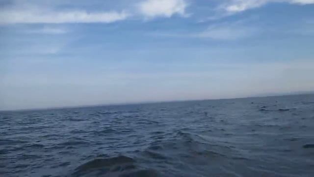 Идем на пвх ривьера 3200 ск смотреть онлайн