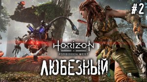 Horizon Запретный Запад | Мир диких роботов и коварных людей | #2