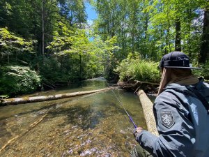 Рыбалка в ключе.Охота на ленка