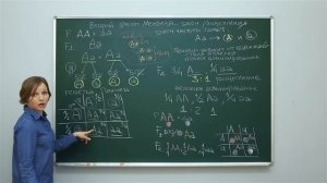 Биология. Генетика: Второй закон Менделя. Закон чистоты гамет. Центр онлайн-обучения «Фоксфорд»