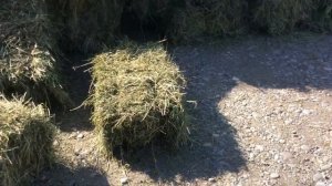 купили сено в тюках хорошего качества