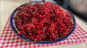 Желе из красной смородины за 10 минут