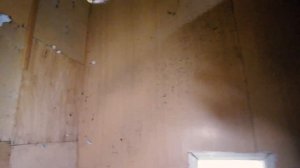 Заброшенная деревня Тульской области Старинные техноологии, крепкие дома, построенные с душей.