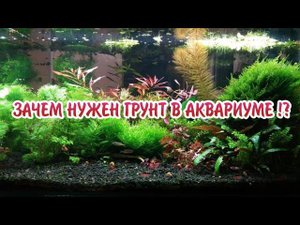 ЗАЧЕМ НУЖЕН ГРУНТ В АКВАРИУМЕ !?