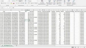 Разговор про отчеты звонков во FreePBX