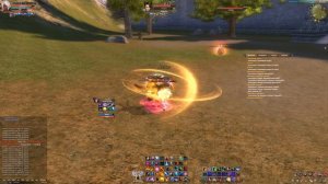 PVP PW WhatsUP VS Финал Паладин. Шаман против Паладина!! Поехали братцы!!!