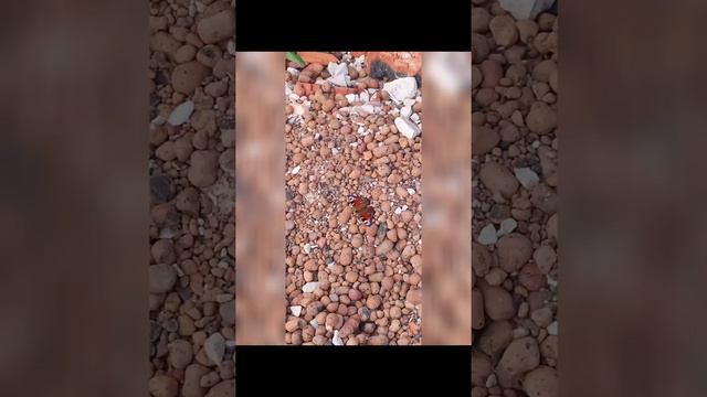 хоть это было давно Но оно это было очинь круто! смотреть онлайн