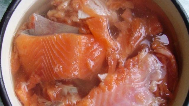 Засолка форели в домашних условиях