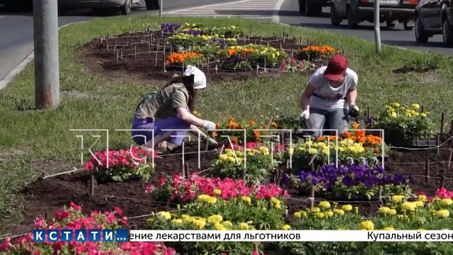 В Нижнем Новгороде в 2023 году высадят более миллиона цветов смотреть онлайн