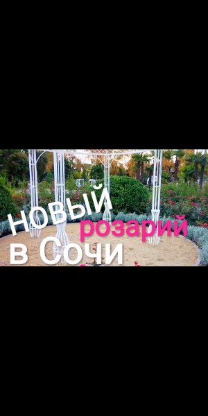НОВИНКА! В СОЧИ ОТКРЫТ РОЗАРИЙ В ПАРКЕ "РИВЬЕРА".