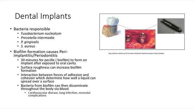 Biofilm смотреть онлайн