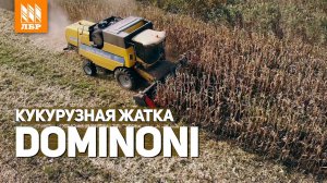 10 лет в одном хозяйстве! Отзыв о кукурузной жатке Dominoni!