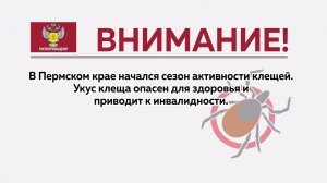 Управление Роспотребнадзора по Пермскому краю напоминает об опасности клещей