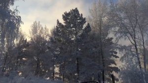 Чудеса Сибири