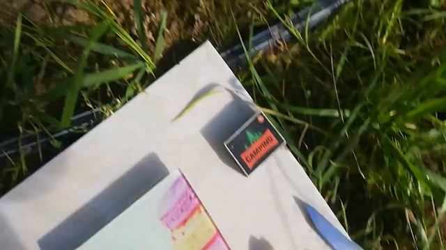 АРТЕК. КРАСИВЫЙ БЕЛОЯГОДНЫЙ БРАТ ДУБОВСКОГО. 2021 смотреть онлайн