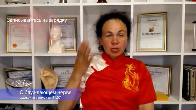 Пищевые привычки и кишечная флора - как они связаны?