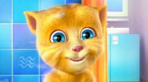 Кот Рыжик.  Знакомство