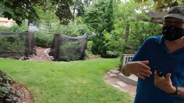 Stunning Lotus Garden with Koi *POND* смотреть онлайн