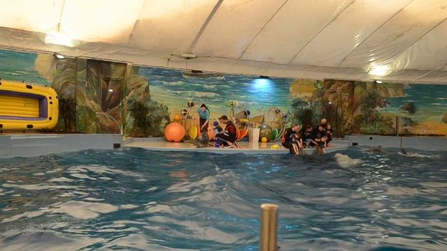 дельфинотерапия г. Сочи смотреть онлайн