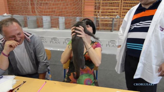 Archibald Cro Blue Art смотреть онлайн