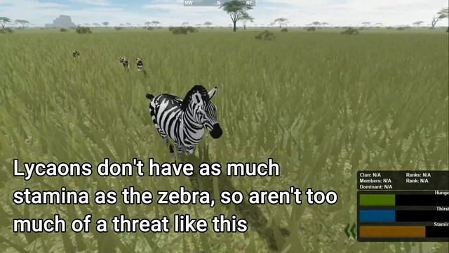 Roblox -Testing A - Zebra Controls + Zebra Guide смотреть онлайн