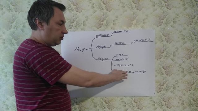 Тренировка ИНТЕЛЛЕКТА. Стань УМНЕЕ. ПРОСТО.