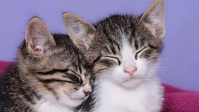 Музыка для крепкого сна. 5 часов / Music for sound sleep. 5 hours смотреть онлайн