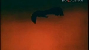 Заставка передачи "в мире животных" в 4К