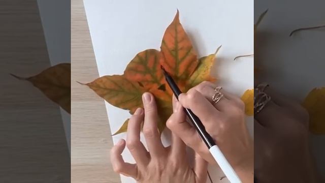 3 Кошки-мышки смотреть онлайн