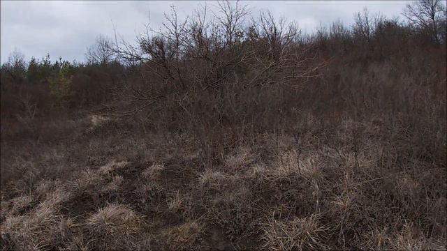 В гостях на сан отстреле смотреть онлайн