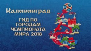 Чемпионат Мира по футболу 2018 в России "Калининград"