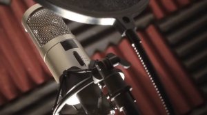 ЕГЭ по обществознанию. Демократия, ее основные ценности и признаки