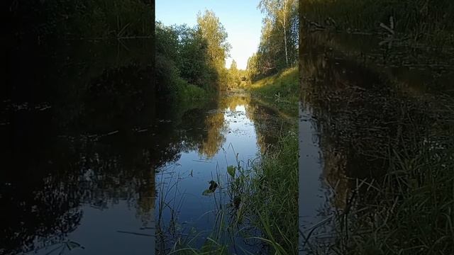 Окунитесь в красоту Сибирской природы