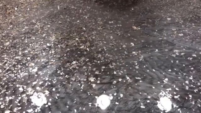 ✅ Столешница из Эпоксидной смолы и Слюды☝Своими руками?Мастер-класс