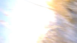 Охота на волка в Калмыкии 2012г.