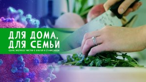 Для дома, для семьи | Экспресс чистка