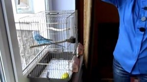 Космоэнергетика  Канал Лугра