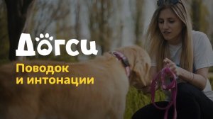 2. Инструкция догситтера Догси – Поводок и интонации / dogsy.ru