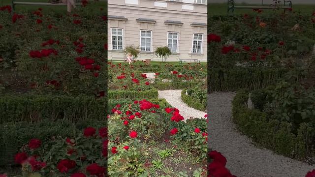 Rose Garden Mirabell Salzburg