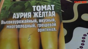 Обалденные томаты АУРИЯ ЖЁЛТАЯ